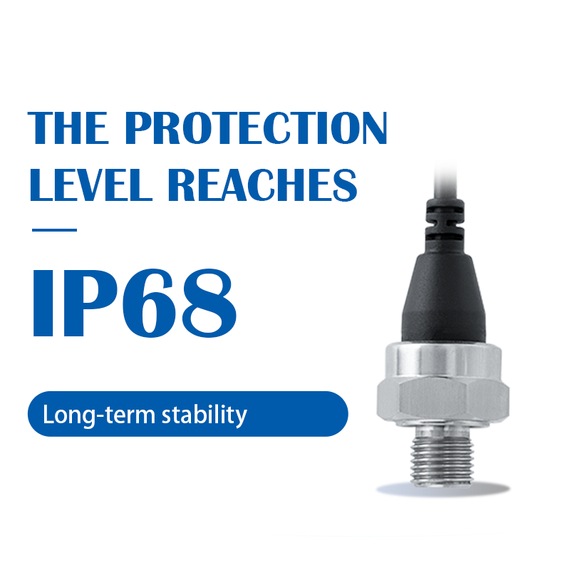 PT-804 Automotive-Grade Ceramic Capacitive Pressure Transmitter | IP65 High Reliability Sensor